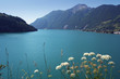 swiss alpin lake