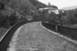 pont