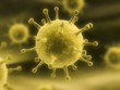 virus
