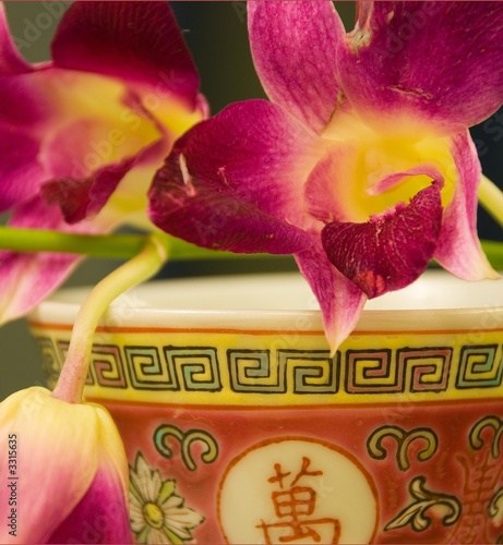chinesisches porzellan und blüten chinesisches porzellan und blüten