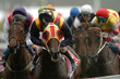 horse racing winning 02