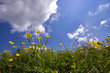 prato cielo prato cielo