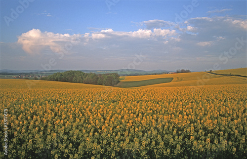 Foto: lichtzauber der untergehenden sonne lichtzauber der untergehenden sonne