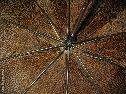 Photo: umbrella umbrella