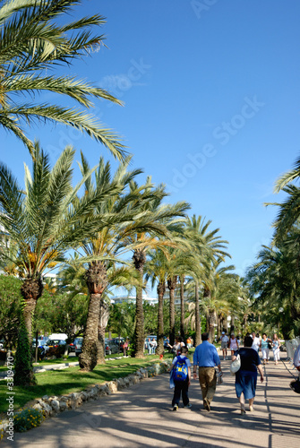 paysage de cannes