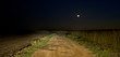 landscape5