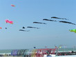 cerf volant