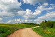 rural road
