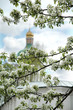church & flowers