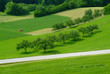 traktor auf feld