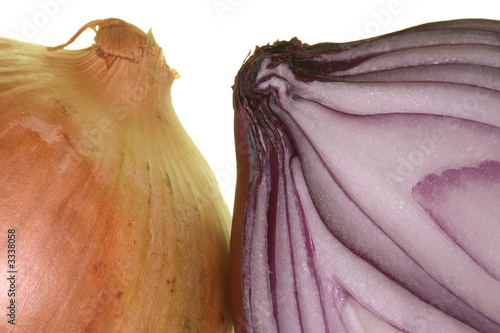 Photo: onions onions