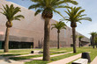 de young museum bench and palms de young museum bench and palms