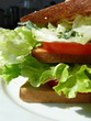 club sandwich 5 club sandwich 5