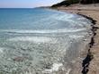 dead sea shore