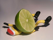 crushy lime crushy lime