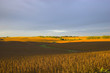Foto: harvest is near harvest is near