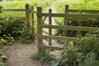 footpath