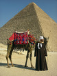 children of the desert children of the desert