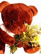 un bouquet champêtre pour maman