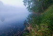foggy lake