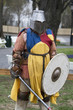 medieval knight in armor