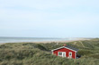 red house