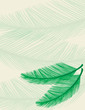 palm background