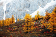 autumn