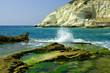 cape rosh ha nigra