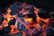 feu feu