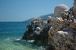 boule