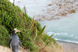 yellow eyed penguin