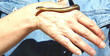 red-sided garter snake red-sided garter snake