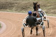 piste et trotteurs
