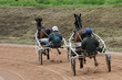 piste de trot