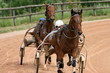au trot