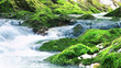 wasserfall wasserfall
