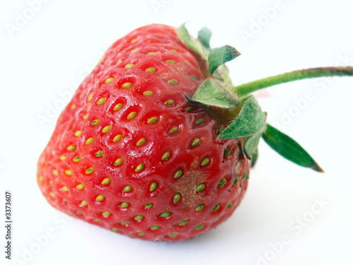 Photo: strawberry strawberry