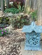 water garden