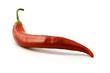 red hot chilli
