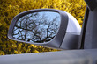 rückblick 1