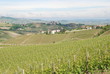 vigne di langa