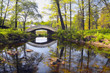 idyllic-11
