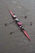 rameurs faisant de l'aviron