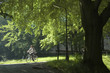 detente,velo, jardin anlagen, munich, allemagne detente,velo, jardin anlagen, munich, allemagne