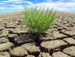 Klimawandel
