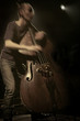 contrebasse