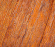 wooden floor