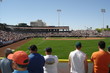 fans in the outfield