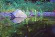 morgensonne am teich